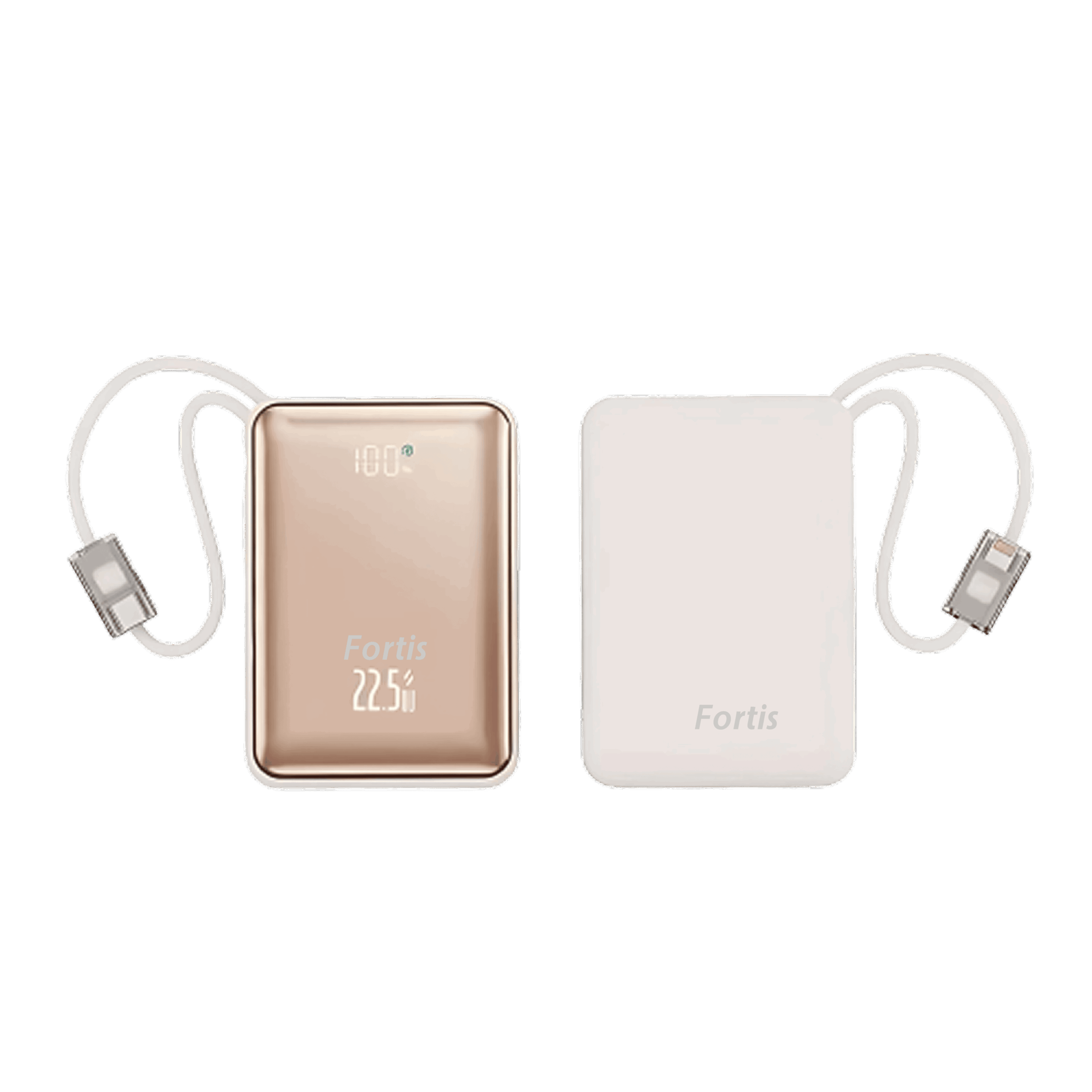 Fortis 20,000mAh Power Bank